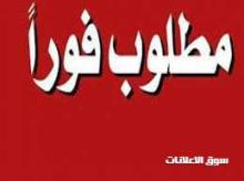 مطلوب موظفين خبره في الاستثمار العقاري وتاجير وتشغيل العقارات وبحث عن العقار المطلوب ونشره في النت والتطبيقات